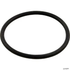Sta-Rite - Gasket, Bulkhead Adaptor