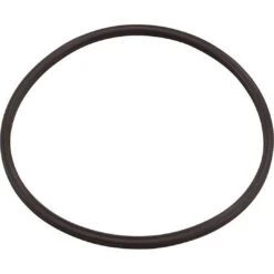 Paramount - In Deck Leaf Canister Lid O-Ring 005-152-0120-00