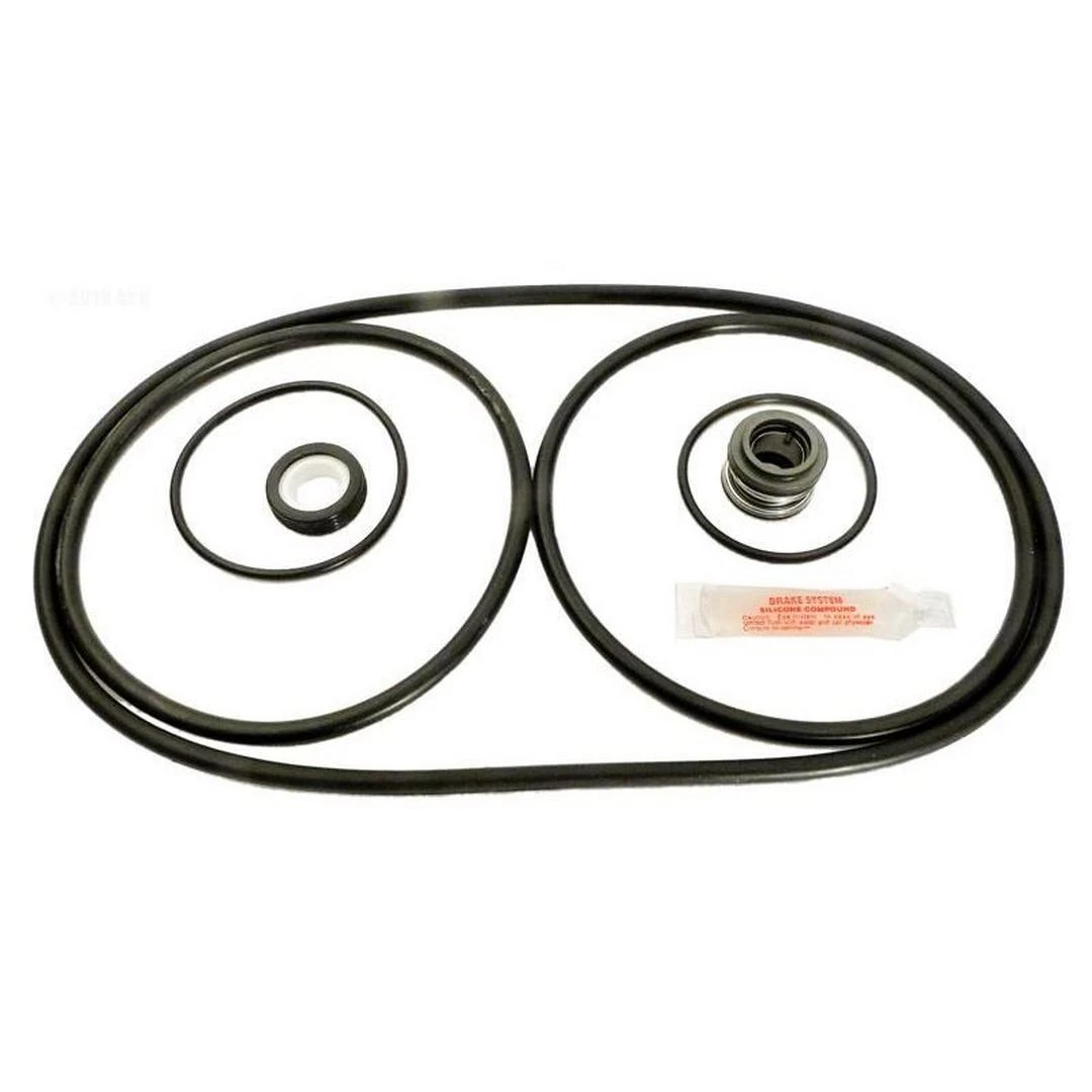 Epp - K1046 Pentair Pac-Fab Challenger Pool Pump Go-Kit5 O-ring Kit - Image 2