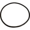 All Seals - Replacement 11" Tank Body O-Ring For Pentair Pac Fab Mitra