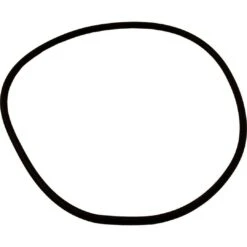 Sta-Rite - Seal Plate O-Ring U9-373 For Sta-Rite DynaGlas
