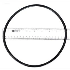 Hayward - Strainer Cover O-Ring (2008 To Current)